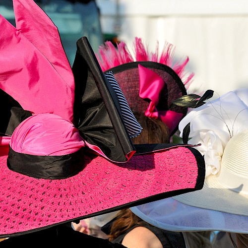 A collection of colorful, elaborate hats with feathers and ribbons against a blurred background.