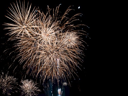 The image shows a display of fireworks bursting in the night sky against a dark background.