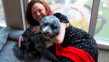 A happy woman with red hair hugs a cute, fluffy gray and black puppy by a window with a city view.