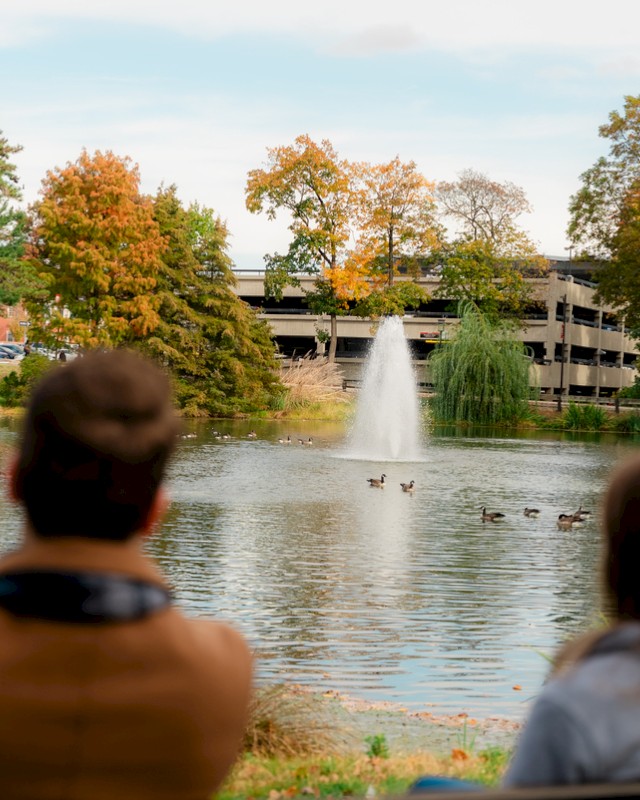 Two people sit by a pond with ducks, trees in fall colors, and a fountain, in an outdoor setting during autumn.